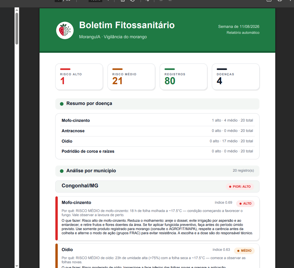 Boletim fitossanitário MoranguIA com KPIs e análise por município