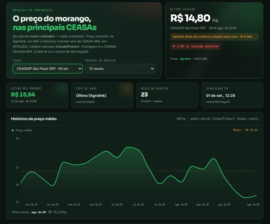Painel Mercado do MoranguIA com última cotação em R$/kg, histórico de preço e seleção de CEASA